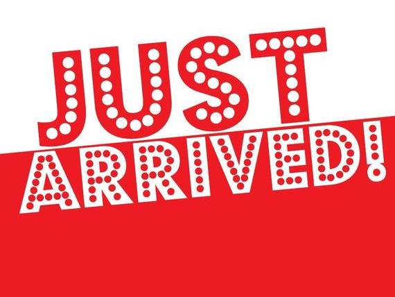 VOLKSWAGEN ATLAS 4MOTION 2025 1V2FR2CA2SC534634 image